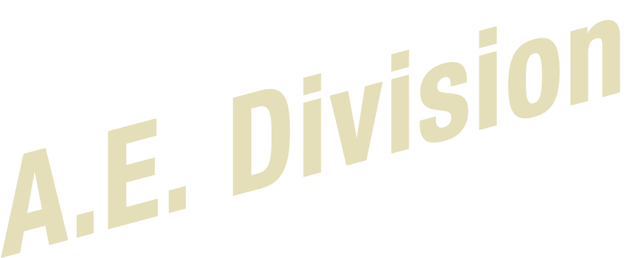 A.E. Division